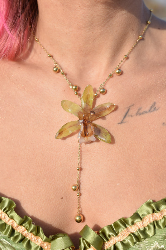 Colgante Orquídea Cymbidium Real Verde y Miel con Cadena de Acero y Detalles Dorados