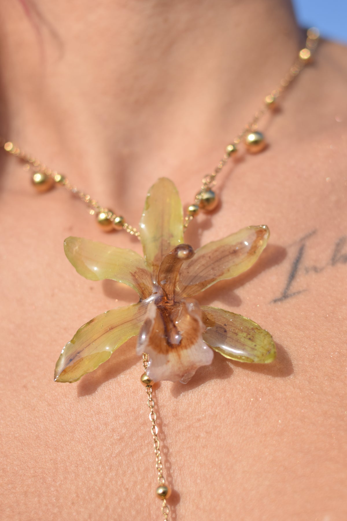 Colgante Orquídea Cymbidium Real Verde y Miel con Cadena de Acero y Detalles Dorados