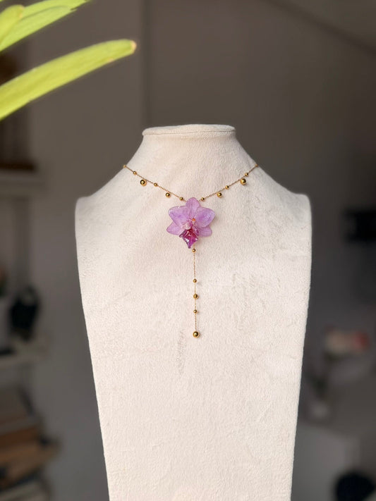 Colgante de Orquídea Mini Phalaenopsis Natural - Tonos Lila