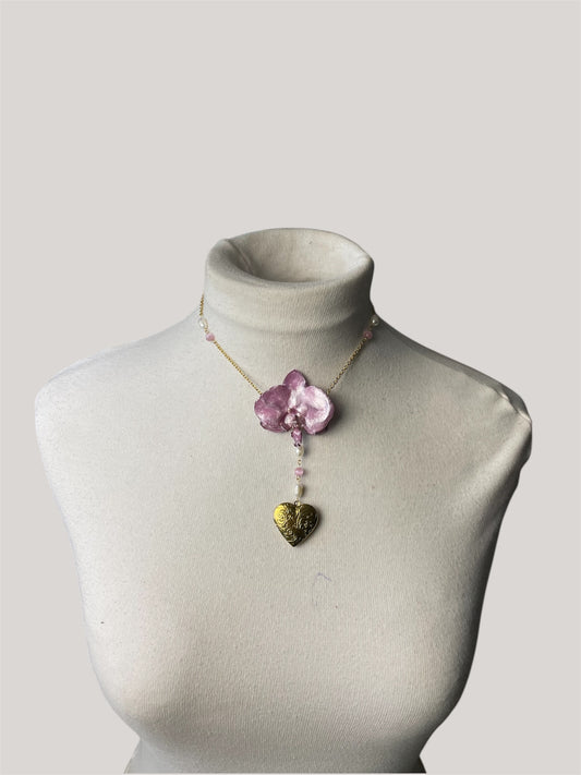 Orquidea con pigmento rosa perlado agregado